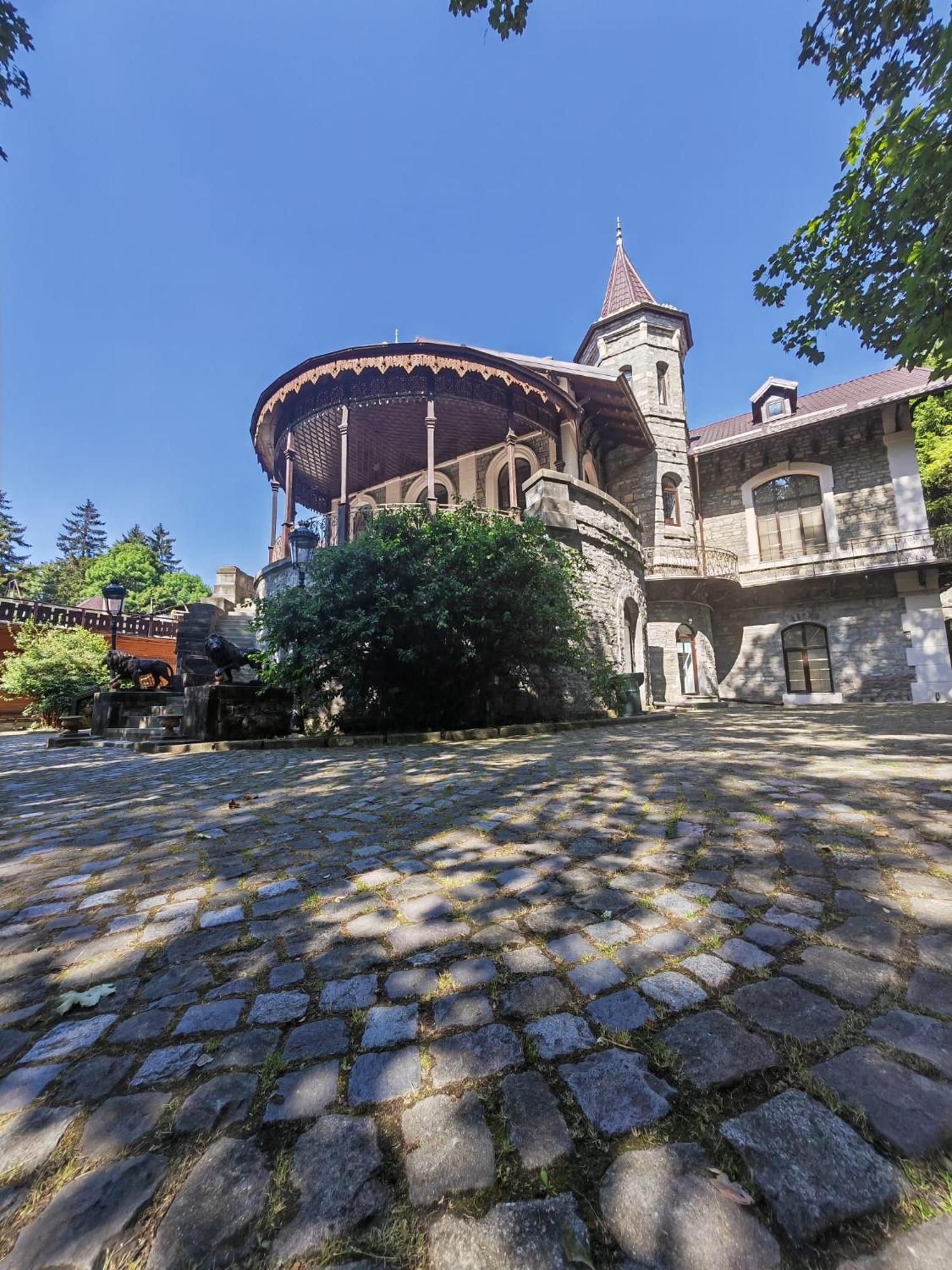 Castelul Stirbey 호텔 시나이아 외부 사진